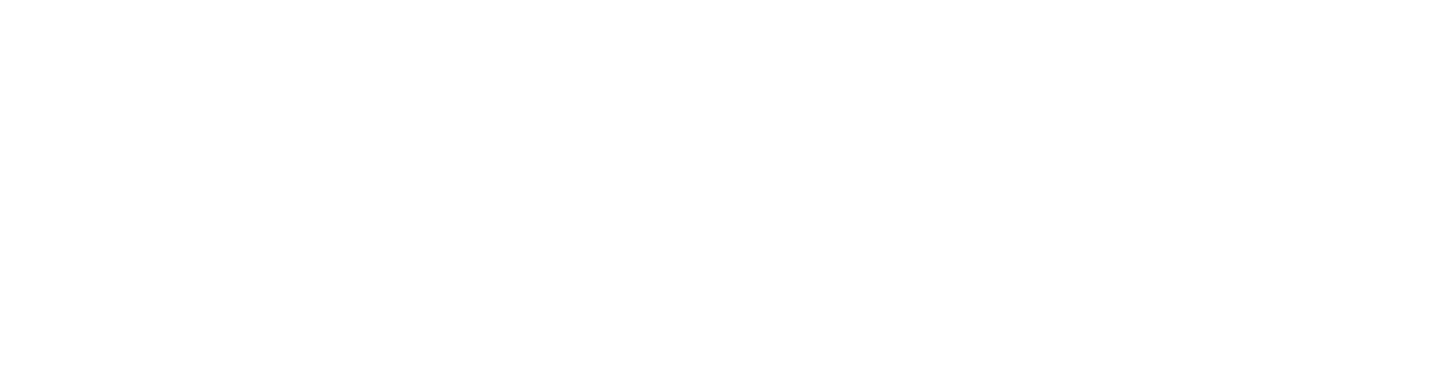 Meccanismi